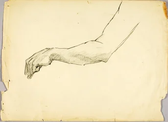 Study of Arm