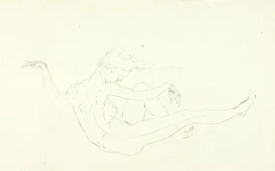 Swimming Nude