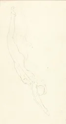 The Plunge #2