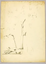 Tree Trunks and Sheep