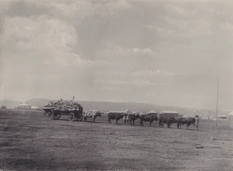 An Ox-Wagon