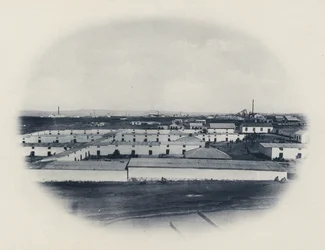 Native Compound, New Primrose Gold Mining Company