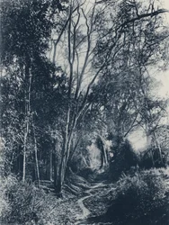 Scene in Lydenburg District