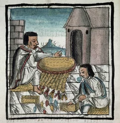 Codex of the conquest of Mexico: method of preserving food against hunger