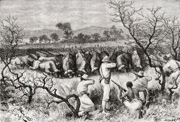 Hunting buffalo in Central Africa in the late 19th century, from 