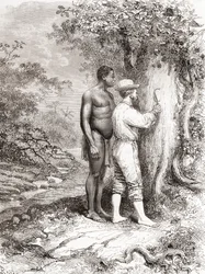 Jules Crevaux Carving His Initials on a Tree on the Banks of the Oyapock River
