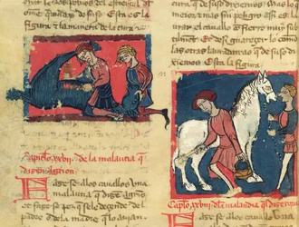 Treating a Horse with Mange, from Libro de Menescalcia y Albeyteria by Juan Alvarez