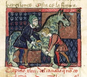 Shoeing a Horse, from Libro de Menescalcia y Albeyteria by Juan Alvarez