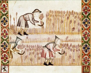 The peasant harvests mowing wheat (detail)