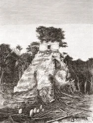 The Temple of the Jaguar at Tikal