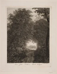 Forest Road