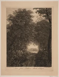Forest Road