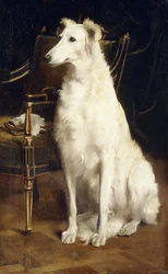 A Borzoi by a Chair