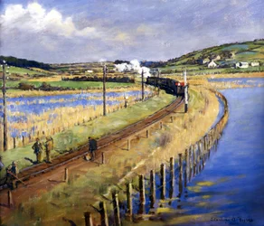 Through the Marshes