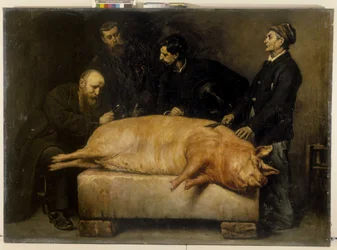 The Experiment of Strychnine
