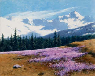 Crocuses with Snowy Mountains Behind