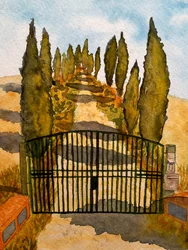 Tuscany - Asciano