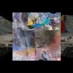 Abstract Swan Collage