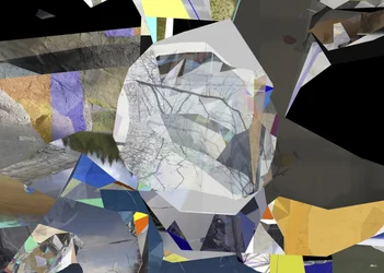 Geometric Nature Fragment