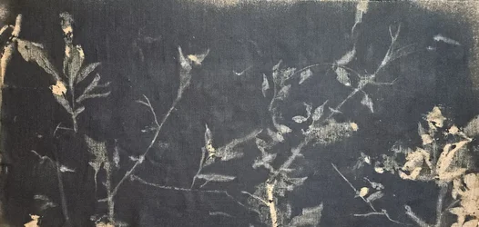 Dark Botanical Study
