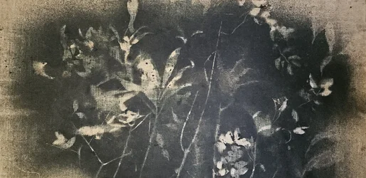 Dark Botanical Study