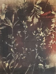 Dark Botanical Study