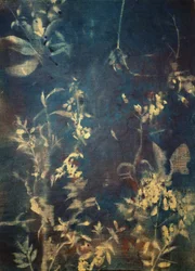 Ethereal Blue Botanicals