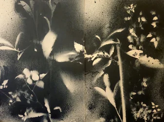 Ethereal Botanical Forms