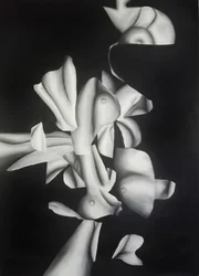 Surreal Body Shapes