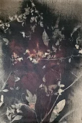 Vintage Botanical Fade