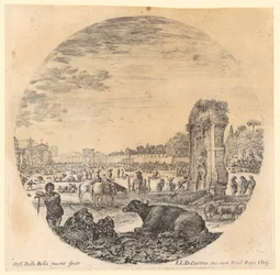 Campo Vaccino