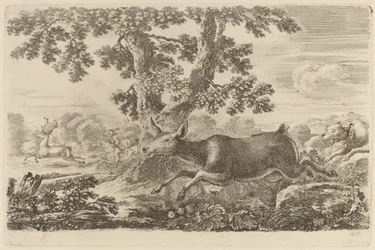 Deer Chased by a Dog to the Right