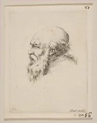 Head of a Bald and Bearded Old Man in Profile, from Various heads and figures Diverses, 1650