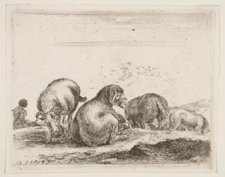 Plate 12: Sheep and Ram in a Pasture, from Various Animals, ca. 1641