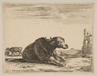 Plate 13: buffalo lying down, from Various animals Diversi animali