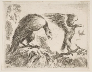 Plate 2: Eagle and Eaglet, from Various Animals