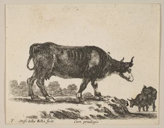 Cow, from Various Animals