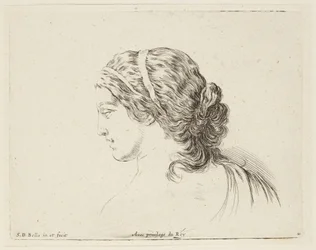 Study (I principii del disegno, 11)