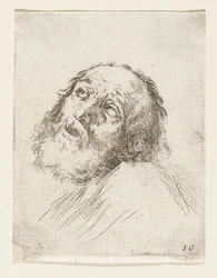 Head of the Repentant Saint Peter