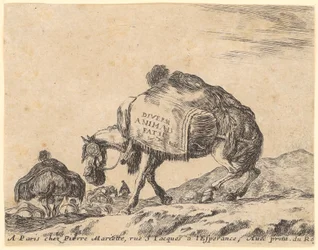 Title page of the series “Various Animals”