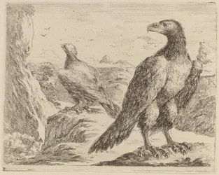 Two Eagles, Both with Heads Turned to the Left