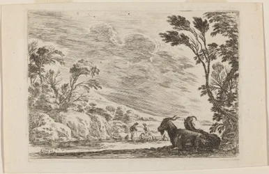 Two Goats Lying Down