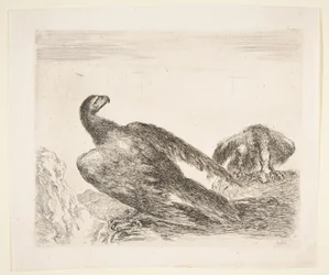 Two eagles, one with prey, from Eagles