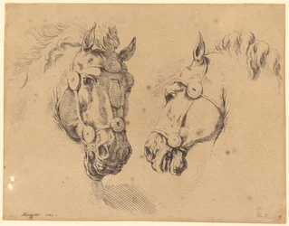 Two Horse Heads