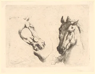 Two Horse Heads, Plate 1 from the Series "Various Animal Heads"