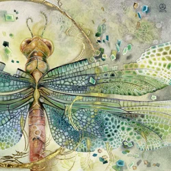 Jeweled Dragonfly Flight
