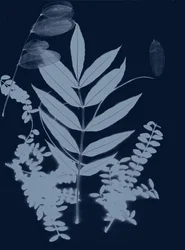 Cyan Foliage 01