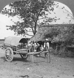 Village Home Built of Bamboo and Leaves, Burma, 1908