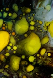 Oil Painting