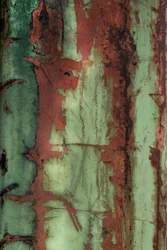 Rusty Green Texture
